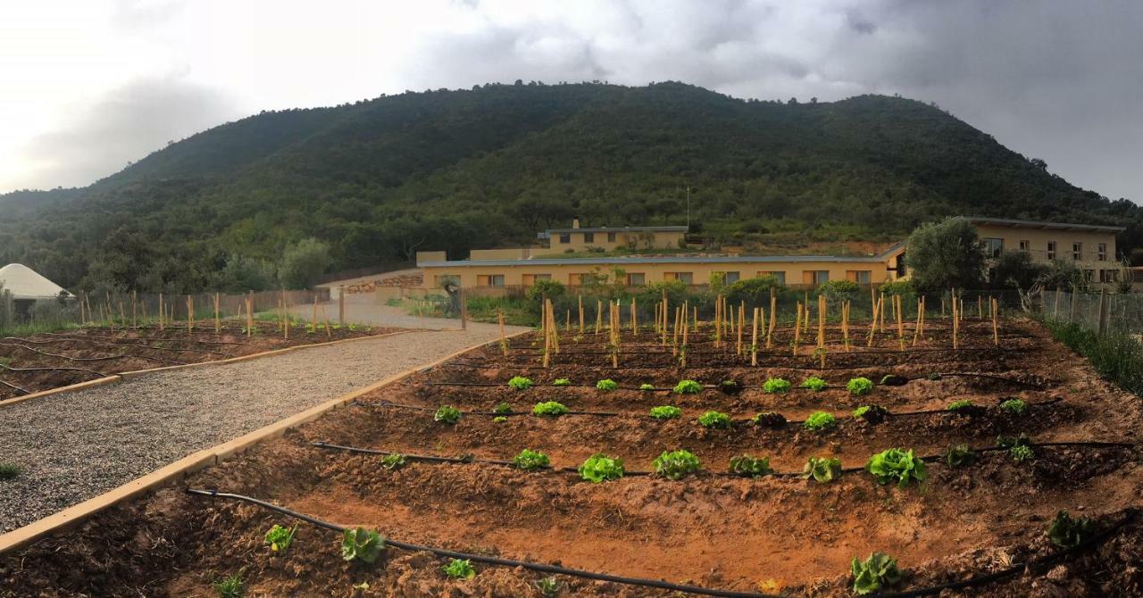 Mar De Fulles Hotel Alfondeguilla ภายนอก รูปภาพ